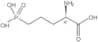 (-)-2-Amino-5-phosphonovaleric acid