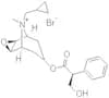 Cimetropium bromide