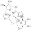 Cyclic ADP-ribose