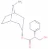 (R)-Atropine