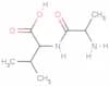 dl-ala-dl-val