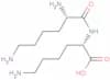 lysyllysine