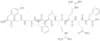 DYNORPHIN B (1-9)