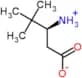 (R)-3-Amino-4,4-dimethylpentanoic acid