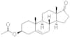 dehydroisoandrosterone 3-acetate
