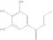 Ethyl gallate