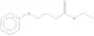 ethyl 4-phenoxybutyrate