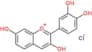 2-(3,4-dihydroxyphenyl)-3,7-dihydroxychromenium chloride