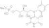 Riboflavin sodium phosphate