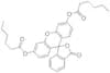 Fluorescein dicaproate