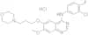 Gefitinib hydrochloride