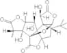 Ginkgolide B