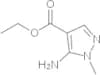 H-Asp(OtBu)-OMe . HCl