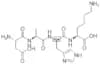 H-Asp-Ala-His-Lys-OH