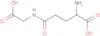 γ-Glu-Gly
