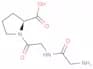 glycyl-glycyl-proline