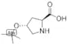 (4R)-4-(1,1-Dimethylethoxy)-L-proline