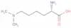 Dimethyllysine