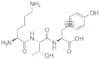 H-Lys-Thr-Tyr-OH