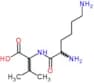 L-Lysine-L-valine