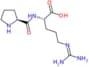 L-Prolyl-L-arginine