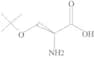 O-(1,1-Dimethylethyl)-L-serine