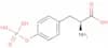 Phospho-L-tyrosine