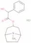 Homatropine hydrochloride