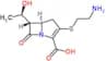 (+)-Thienamycin