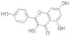 Kaempferol
