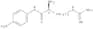 Arginine p-nitroanilide