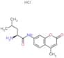 N-(4-methyl-2-oxo-2H-chromen-7-yl)-L-leucinamide hydrochloride