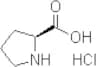 L-Proline, hydrochloride (1:1)