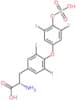 Thyroxine sulfate