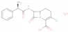 Loracarbef monohydrate