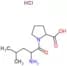 leu-pro hydrochloride