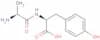 L-Alanyl-L-tyrosine