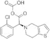 CLOPIDOGREL CARBOXYLIC ACID