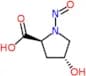 N-Nitrosohydroxyproline