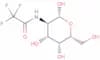 N-trifluoroacetylgalactosamine