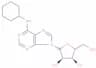 N6-cyclohexyladenosine