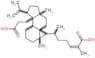 (2Z)-6-[3a-(2-carboxyethyl)-6a,9a-dimethyl-3-(1-methylethenyl)dodecahydro-1H-cyclopenta[a]cyclopro…