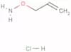 O-Allylhydroxylamine hydrochloride