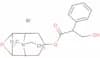 Oxitropium Bromide