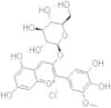 Petunidin 3-glucoside