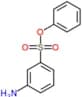 phenyl 3-aminobenzenesulfonate