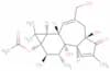Phorbol 13-acetate