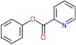phenyl pyridine-2-carboxylate