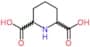piperidine-2,6-dicarboxylic acid