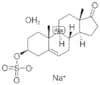 sodium prasteronesulfate